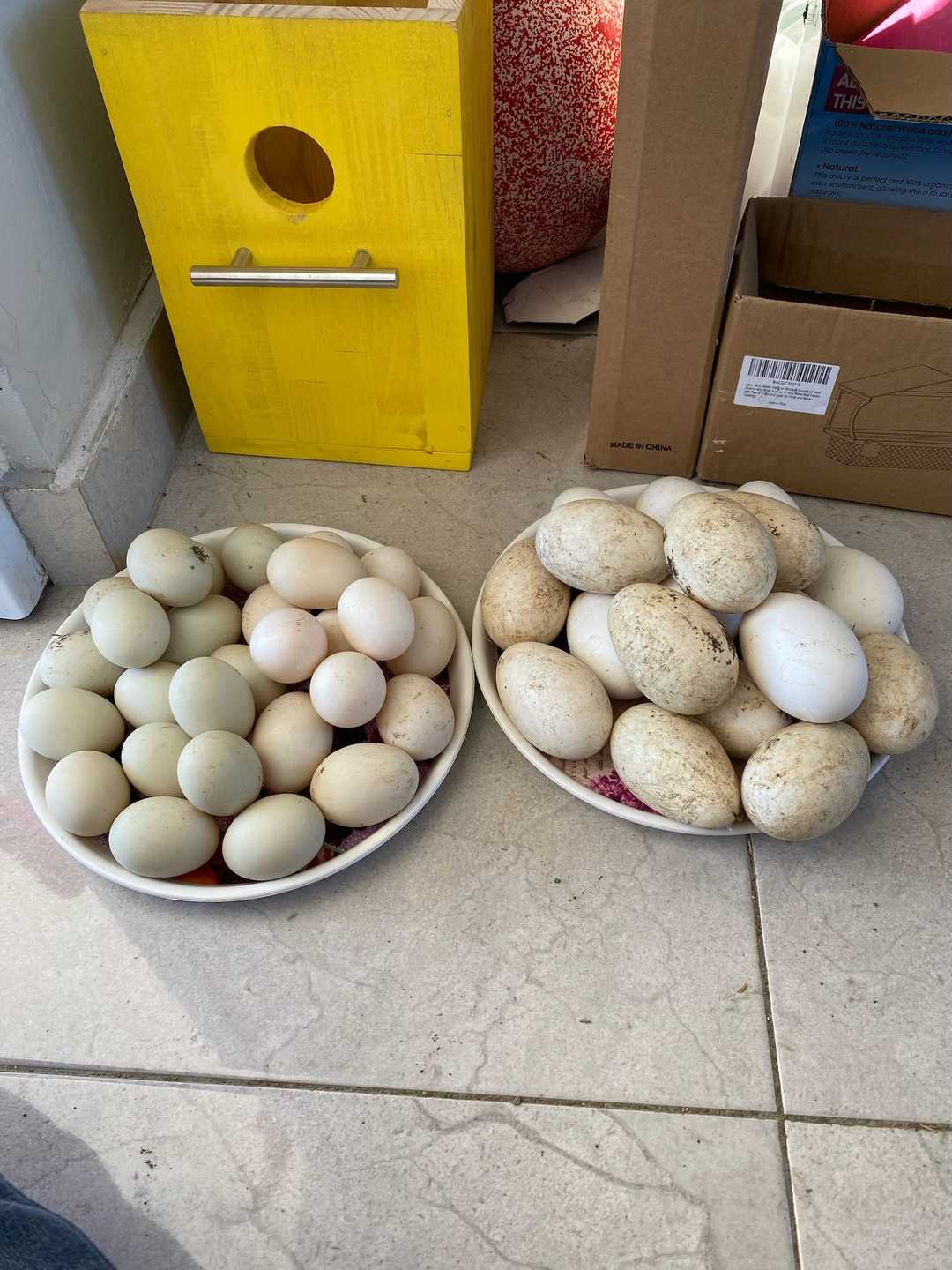 Dos platos llenos de huevos, junto a un nido amarillo